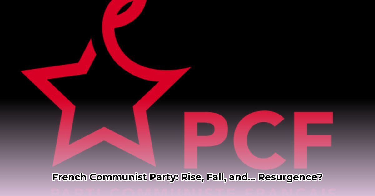 franse-communistische-partij